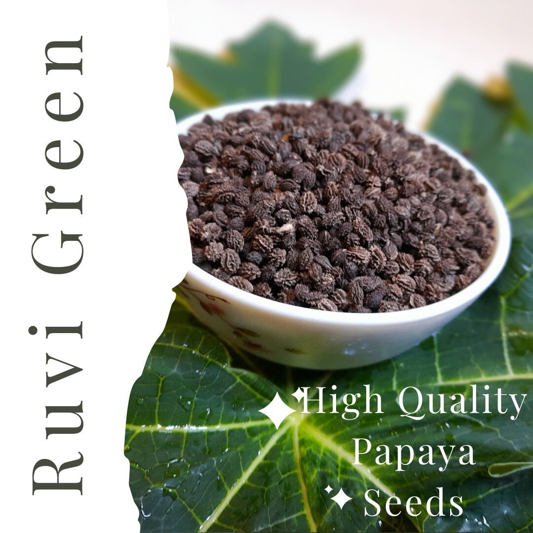 High Quality Ceylon Papaya seeds 100% Organic , Pure and Dried.