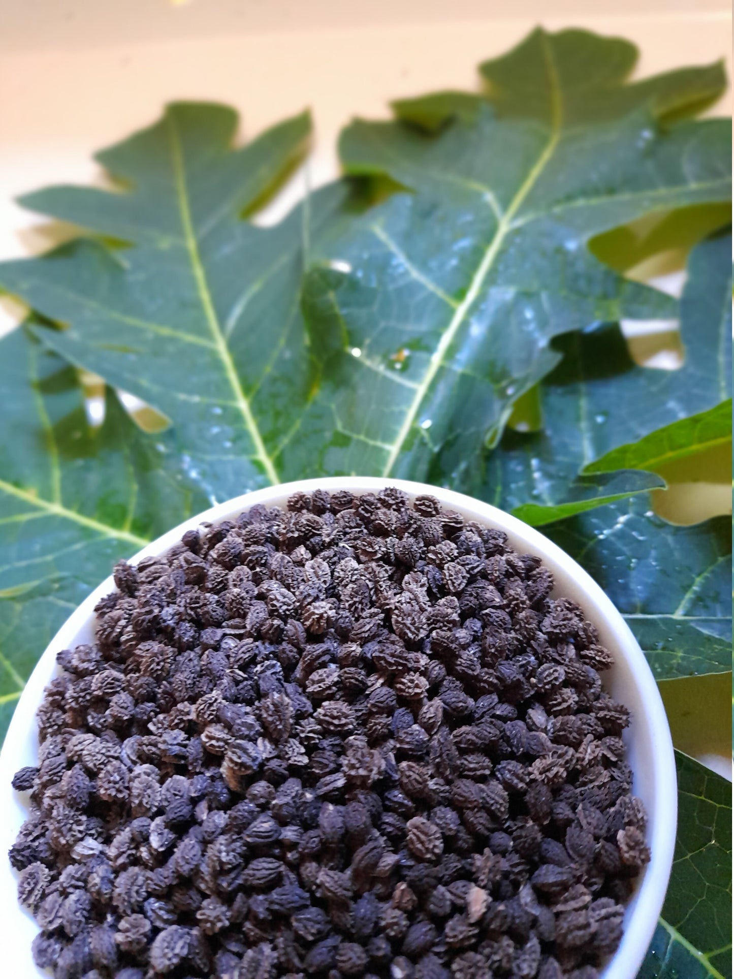 High Quality Ceylon Papaya seeds 100% Organic , Pure and Dried.