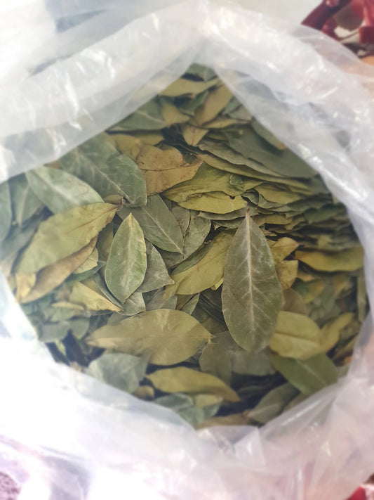 Experience Nature's Finest: Premium Dry Soursop Leaves for Overall Wellbeing 2oz
