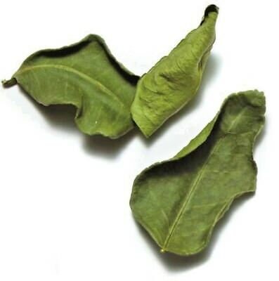 Dried Lime Leaves 1 oz. Organic Naturally Grown