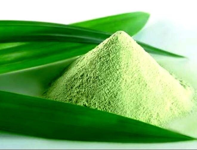 Organic powder pandan leaves fresh ceylon | Pandanus amaryllifolius