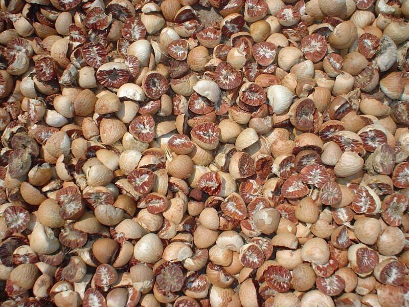 15 oz / 425g Organic Ceylon Dry Betel Nut Slices (Areca catechu) BETELNUT