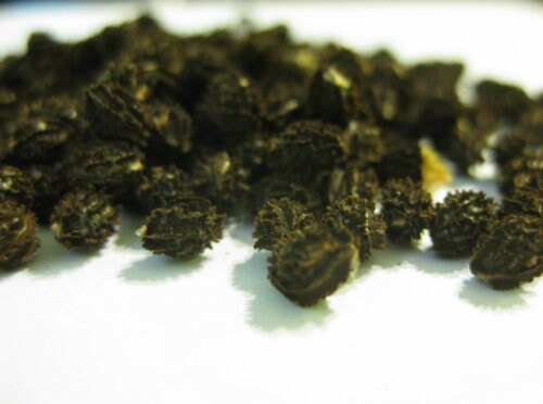 Dried Papaya Seeds from sri lanka Herbal for Health free shipping