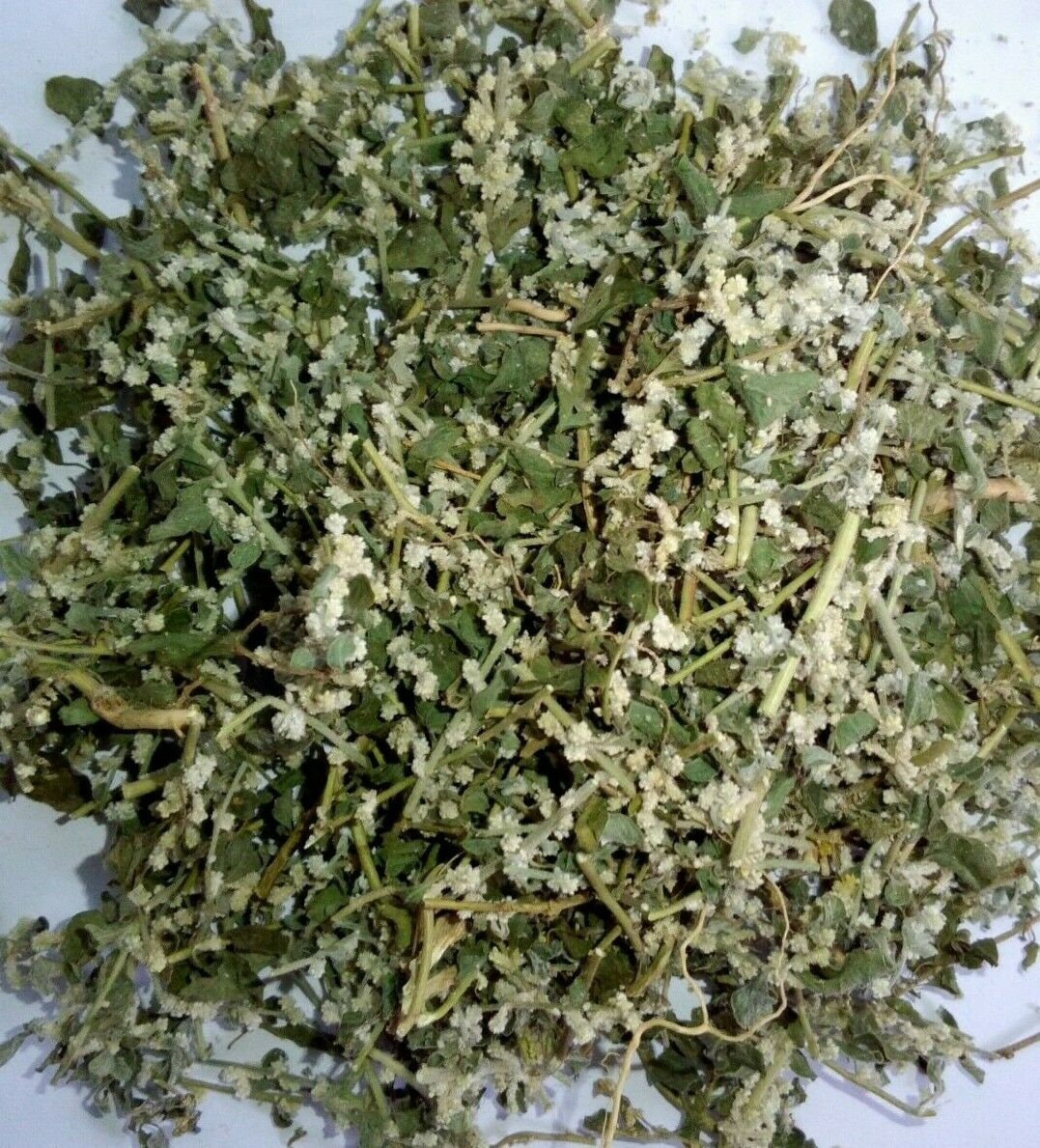 200g Natural Organic Polpala Herbal Tea (Aerva lanata)