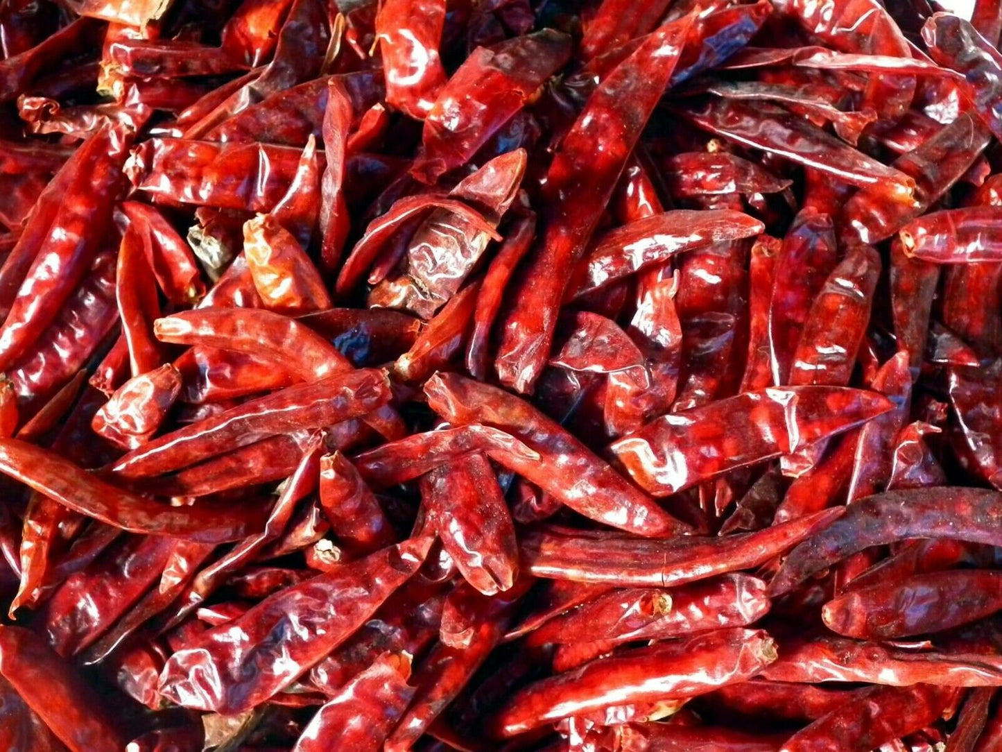 Ceylon High Quality Homemade Red Chili seeds 200+