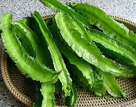 sri lanka Winged beans seeds pack for home garden from sri lanka ceylon bonsai plants seedlings