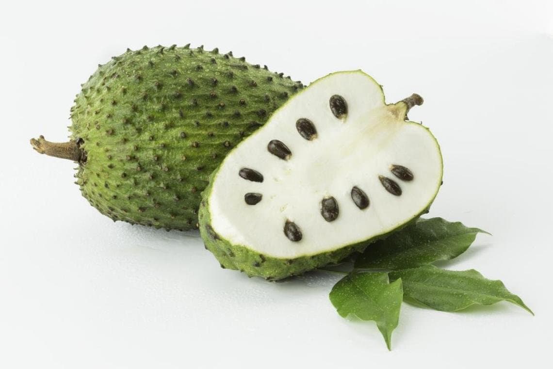 Soursop Guanabana plant seeds fast growing 25 seeds pack for home garden