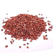 Long radish seeds pack for home garden from sri lanka ceylon products bonsai plants seedlings