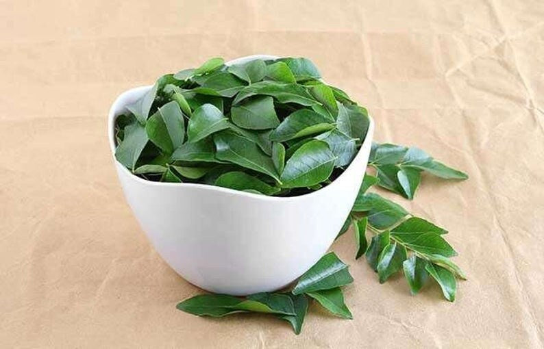 ORGANIC Ceylon Dry Curry Leaves Home Grown Dried Curry Leaf, Murraya koenigii, Bergera koenigii