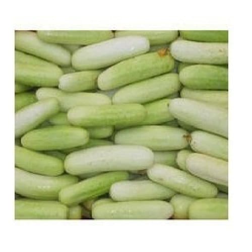 98% PLANTING Cucumber white,Cucumber seeds,France Cucumber,organic seeds PACKECT