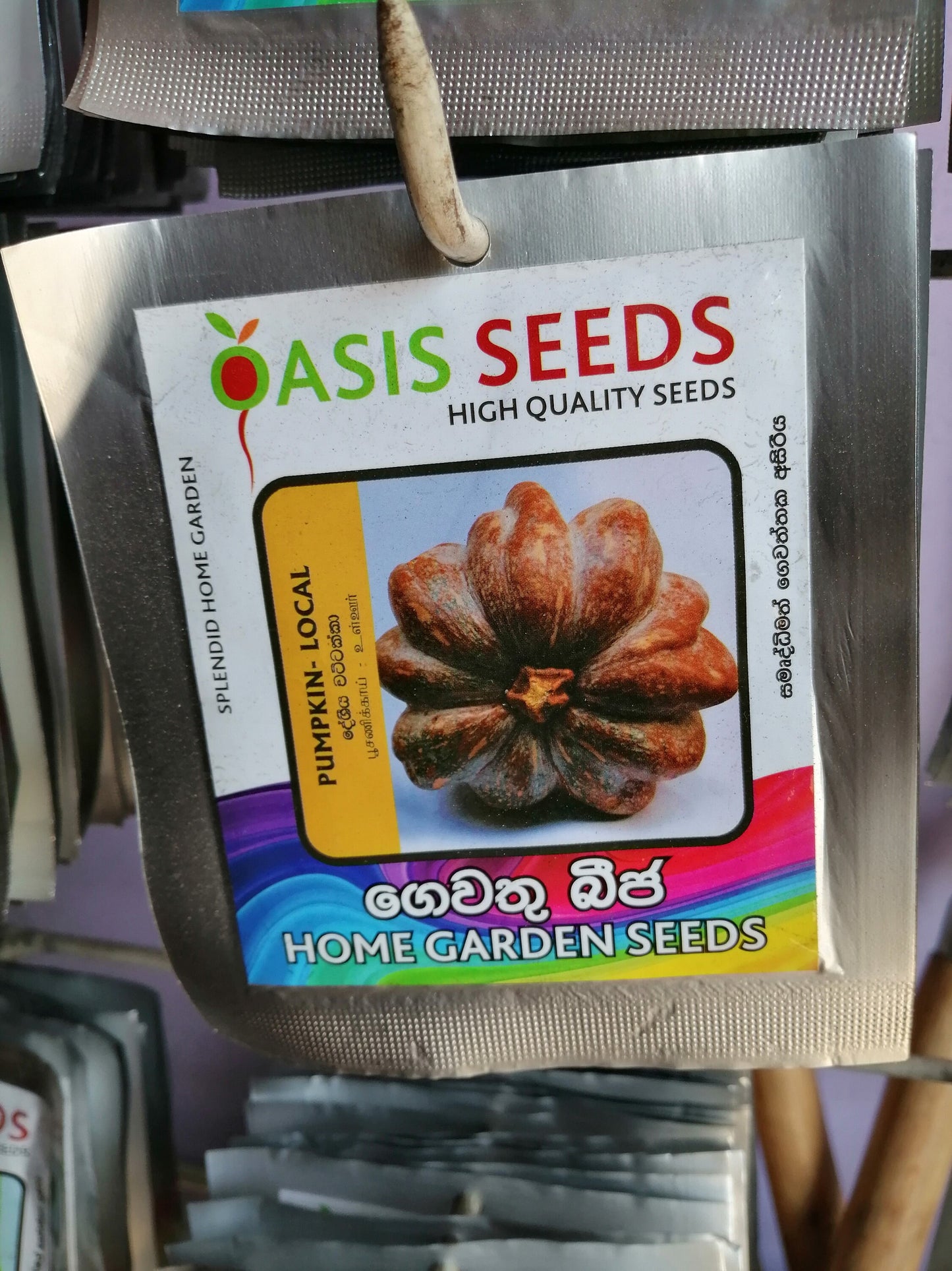 Garcinia Gummi Gutta Tree 10 Seeds PACKET , Garcinia Cambogia Seed, Brindleberry, Malabar Tamarind Tree Seed