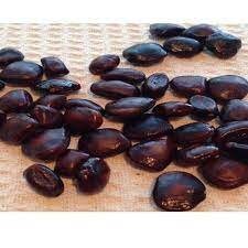Ceylon Tamarind seeds, grow in a pot , as a bush or tree, TAMARINDUS INDICA , bonsai herb seeds for home
