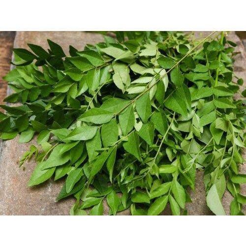 Organic Curry Leaves & Powder 50 G| 100% Organic Natural | Freshly Dehydrating Pack