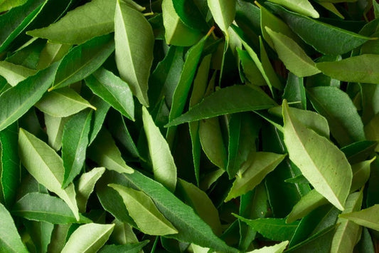 ORGANIC Ceylon Dry Curry Leaves Home Grown Dried Curry Leaf, Murraya koenigii, Bergera koenigii