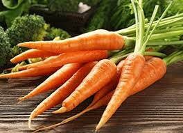 Carrot Organic Seeds - Heirloom, Open Pollinated, Non GMO - Grow Indoors, Outdoors, In Pots, Grow Beds, Soil, Hydroponics & Aquaponics