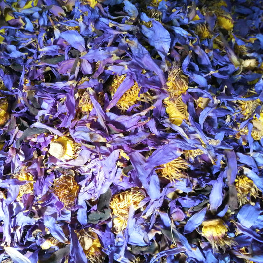 Natural Dried Blue Lotus Nymphaea Caerulea Flower Tea Organic Dried blue lotus Fresh Pouch Herbal Drink