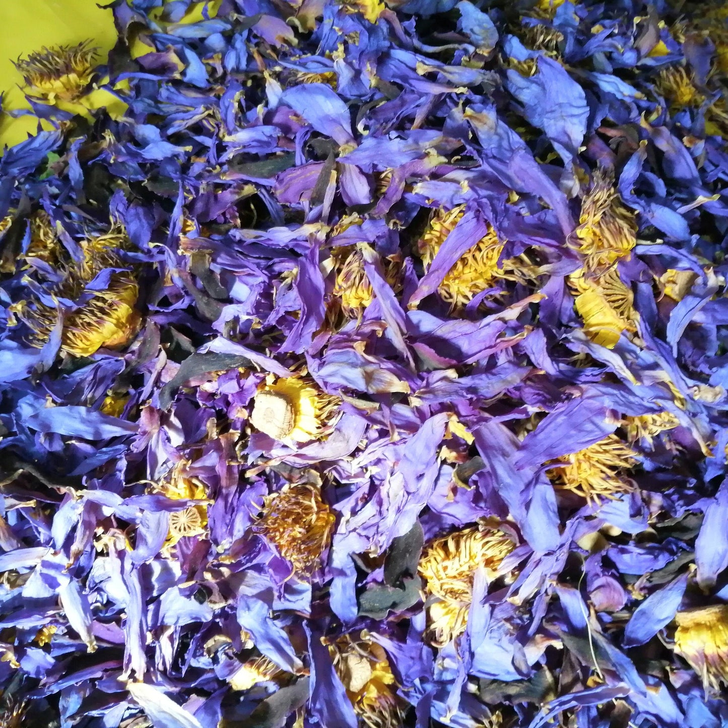 Natural Dried Blue Lotus Nymphaea Caerulea Flower Tea Organic Dried blue lotus Fresh Pouch Herbal Drink