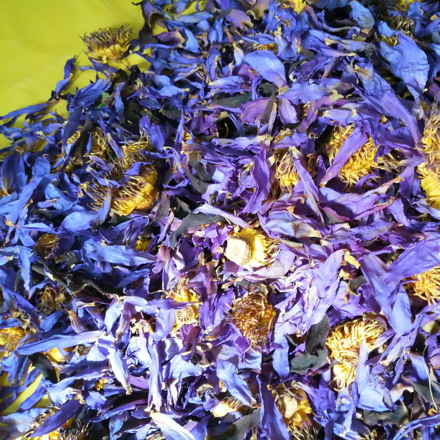 Natural Dried Blue Lotus Nymphaea Caerulea Flower Tea Organic Dried blue lotus Fresh Pouch Herbal Drink