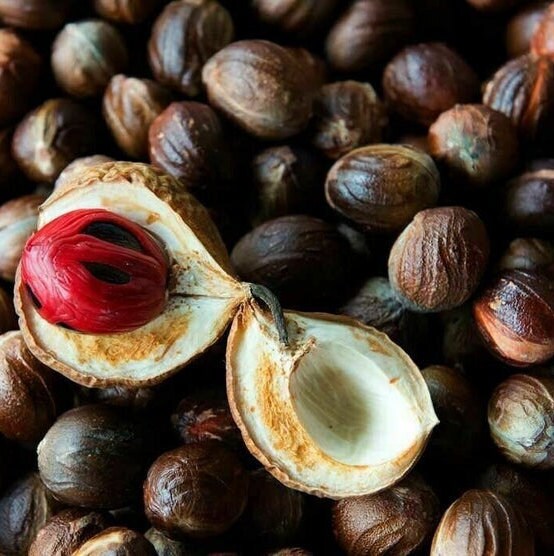 Ceylon Nutmeg Whole With Shell High Quality Organic Herbs Spices Sun Dried Beads