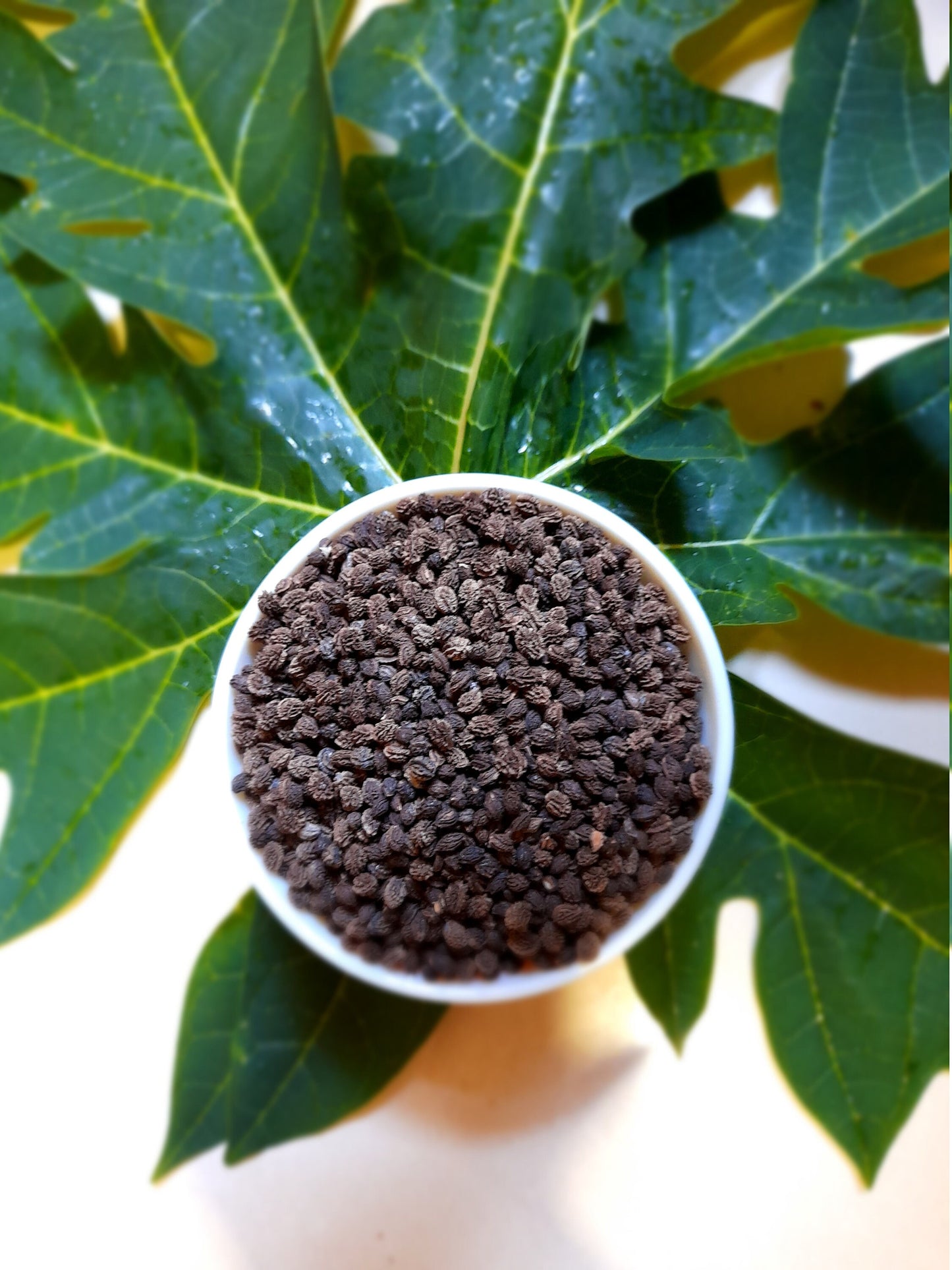 High Quality  Ceylon Papaya seeds 100% Organic , Pure and Dried.